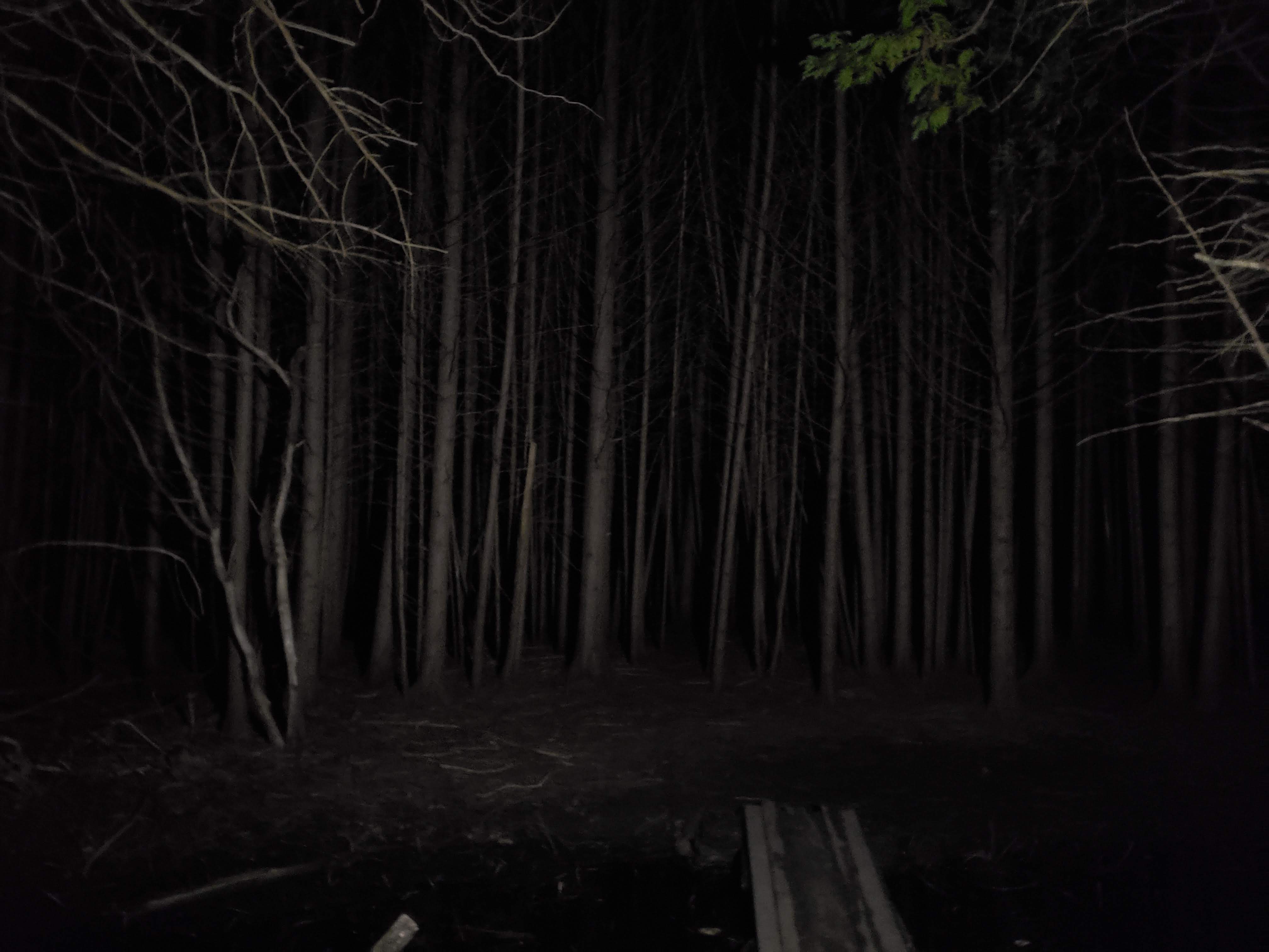 Spooky night walk adventure